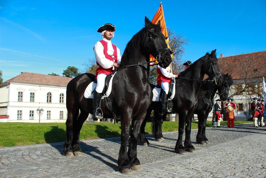 Hotel Medieval Alba Iulia Bagian luar foto